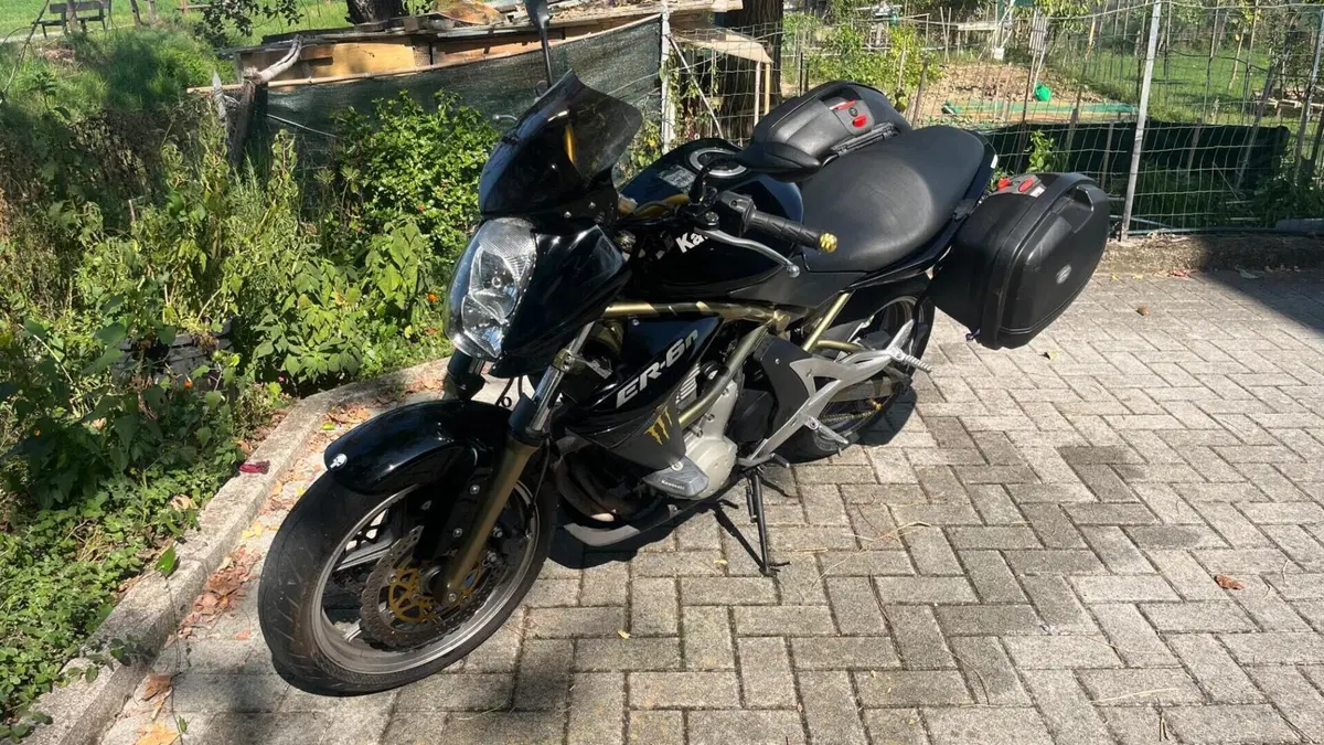 Kawasaki ER-6N (2006 - 09)  (2)