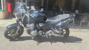 Suzuki GSF 600 Bandit (2000 - 05)  (4)