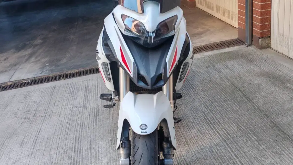 Benelli TRK 251 (2022 - 25)  (4)