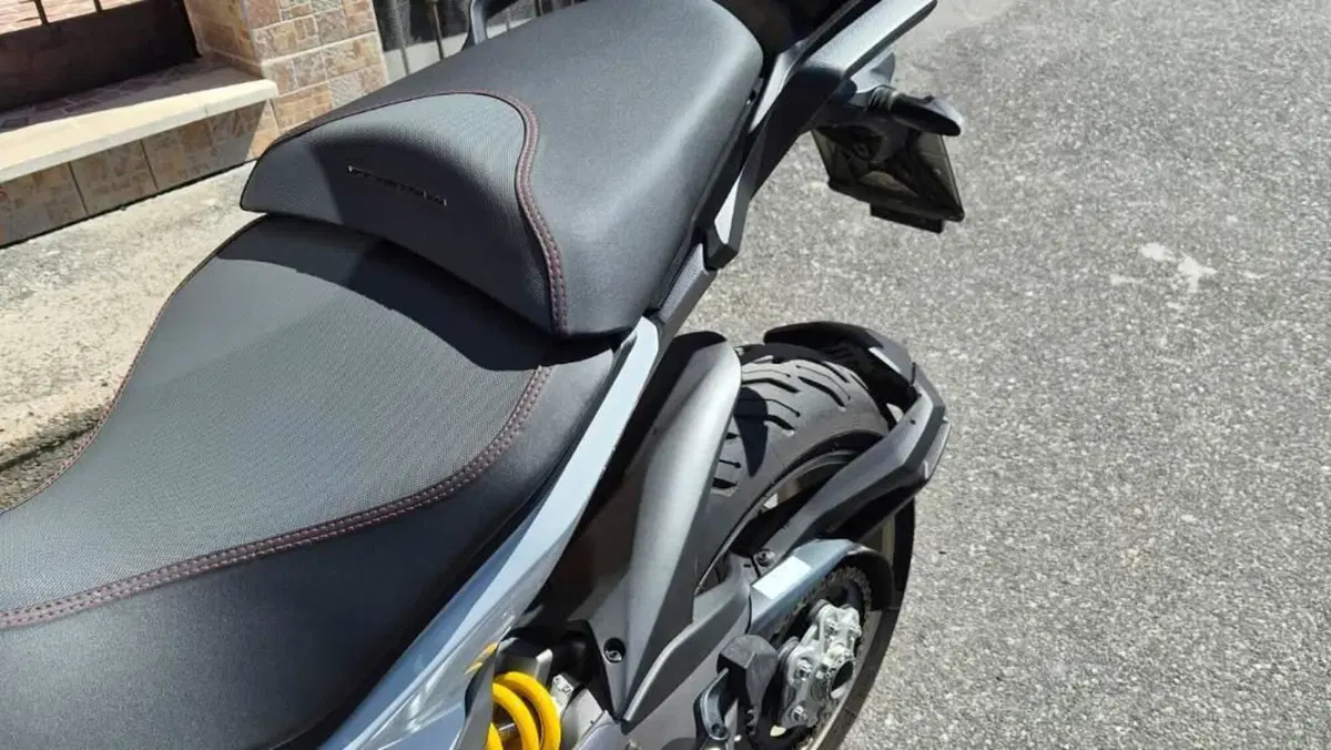 Ducati Multistrada 1260 S (2018 - 20)  (9)