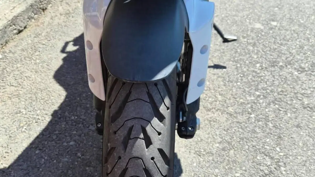 Ducati Multistrada 1260 S (2018 - 20)  (16)