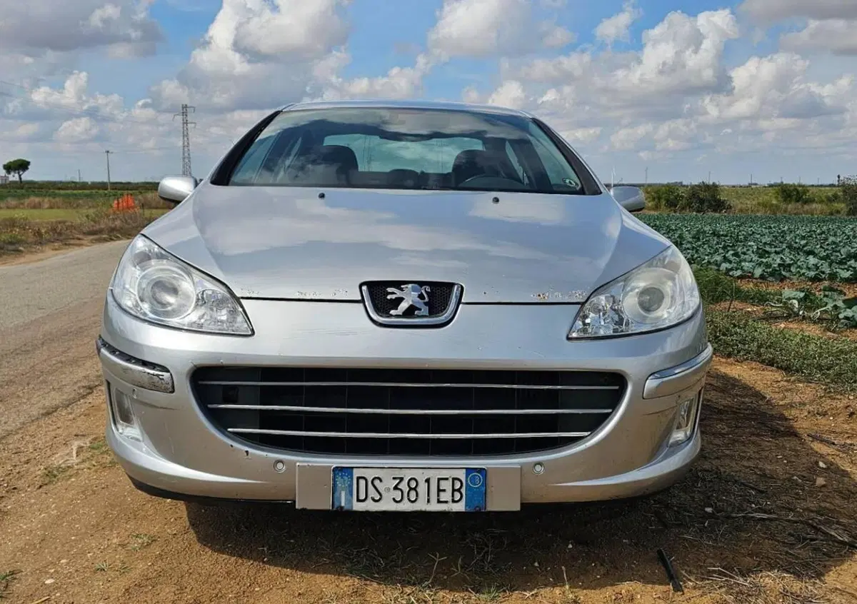 Peugeot 407 1.6 HDi Premium (2)