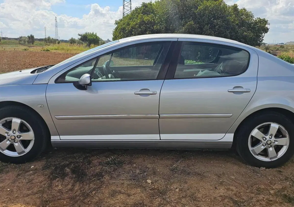 Peugeot 407 1.6 HDi Premium (8)