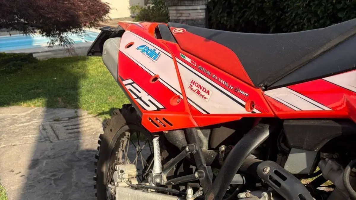Betamotor RR 125 4T Enduro LC (2016 - 17)  (7)