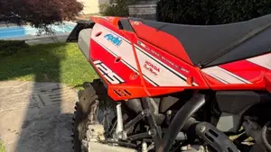 Betamotor RR 125 4T Enduro LC (2016 - 17)  (7)