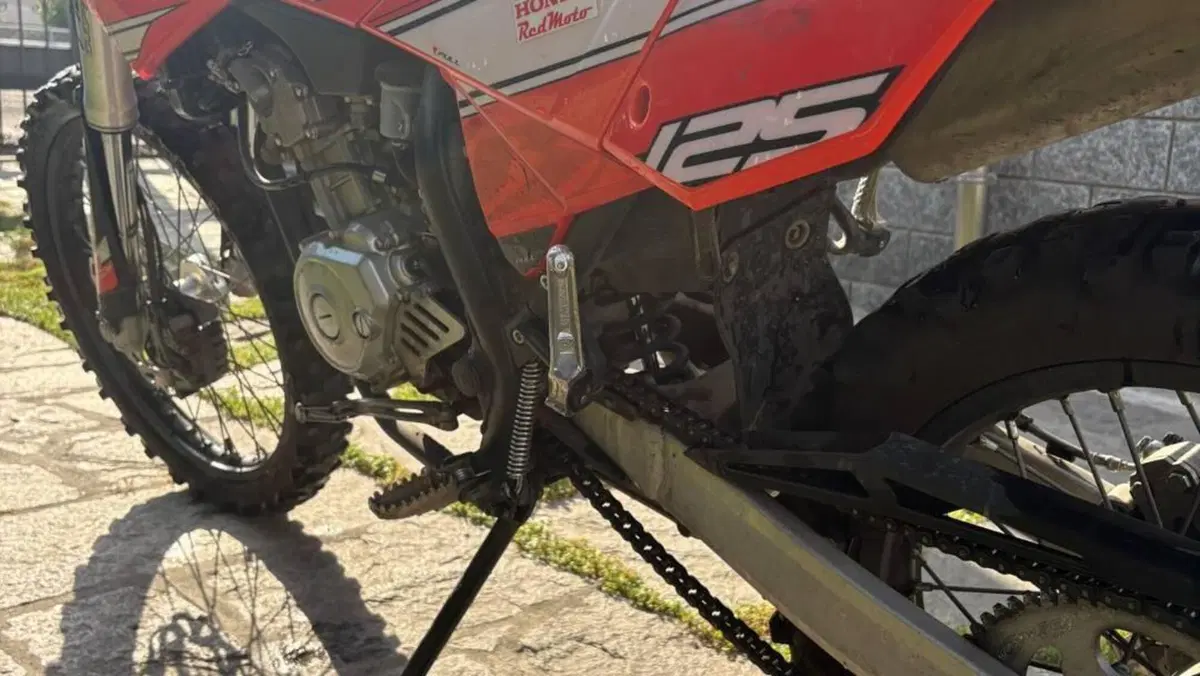 Betamotor RR 125 4T Enduro LC (2016 - 17)  (8)
