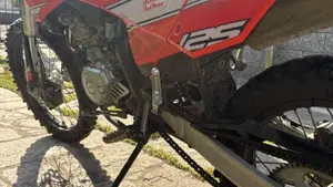 Betamotor RR 125 4T Enduro LC (2016 - 17)  (8)