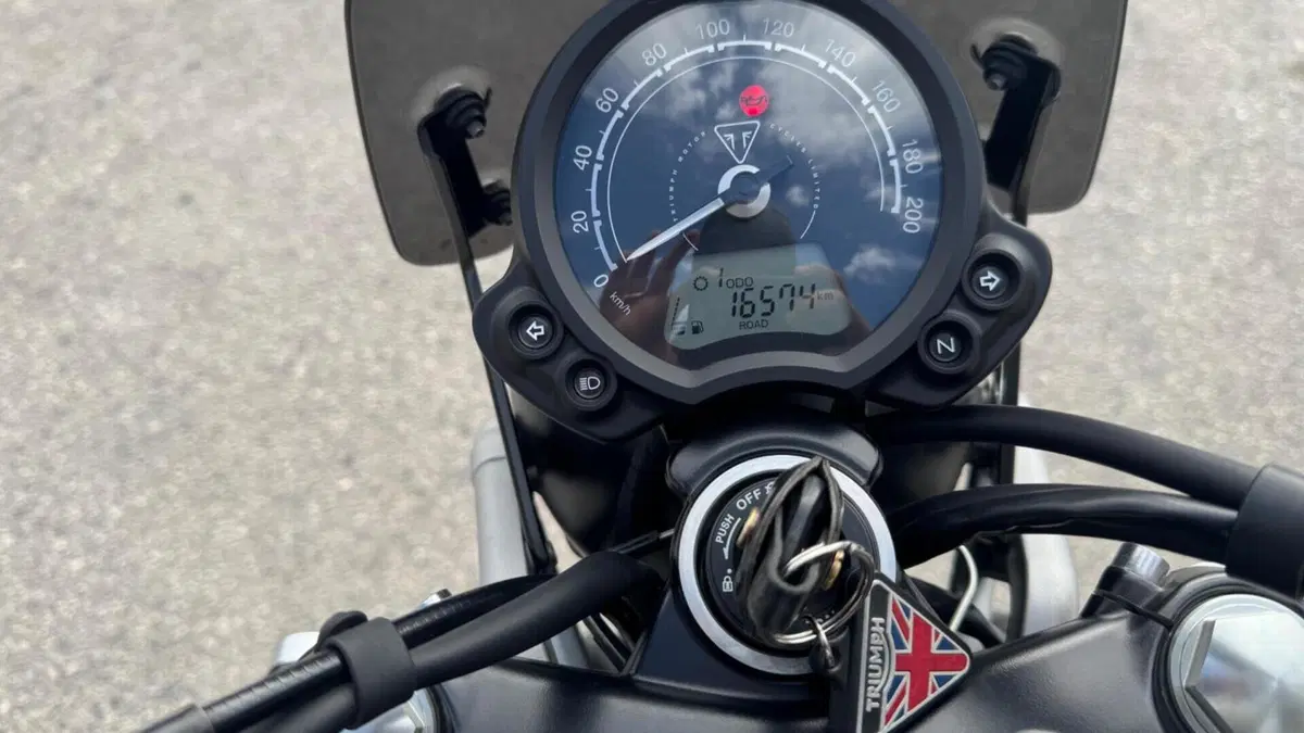 Triumph Street Scrambler 900 Sandstorm (2021 - 22)  (4)