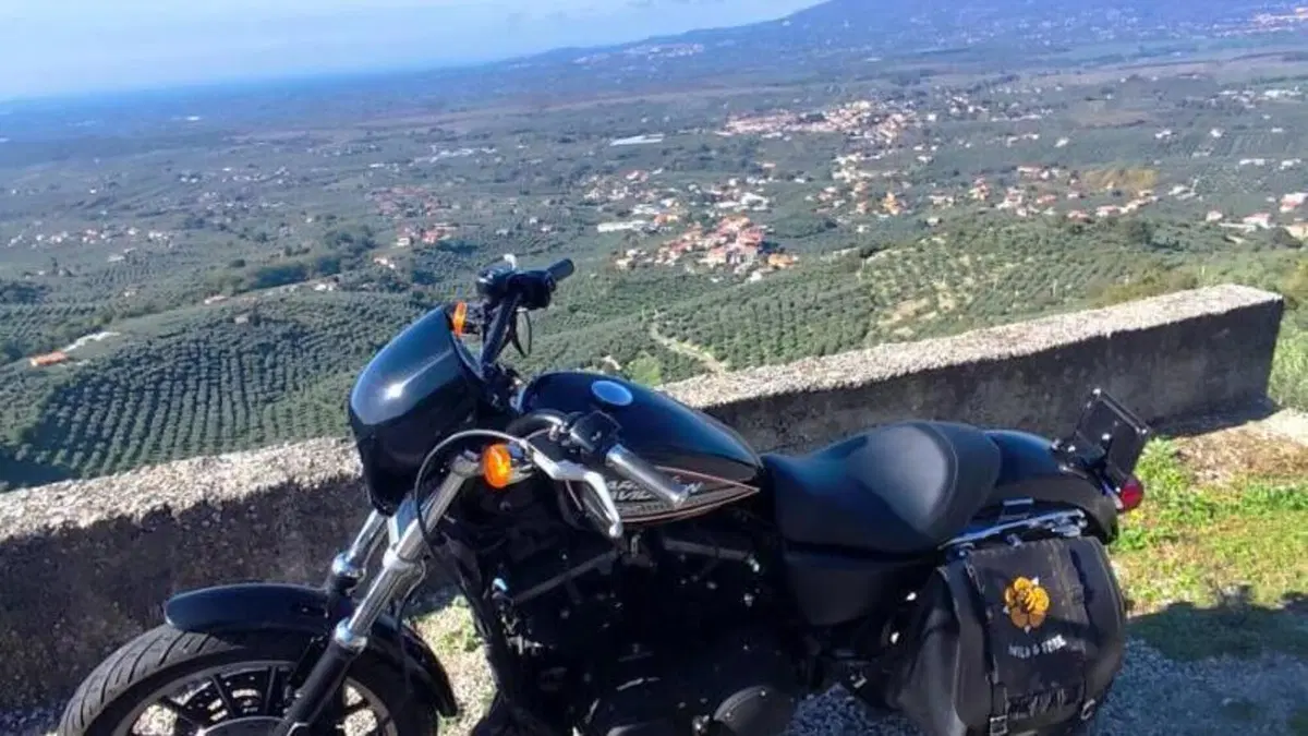 Harley-Davidson 883 R (2008 - 16) - XL 883R  (3)