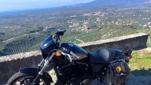 Harley-Davidson 883 R (2008 - 16) - XL 883R  (3)