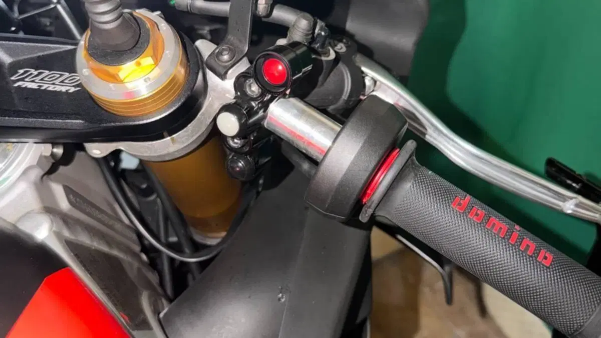 Aprilia RSV4 1100 Factory (2021 - 24)  (8)