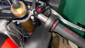 Aprilia RSV4 1100 Factory (2021 - 24)  (8)