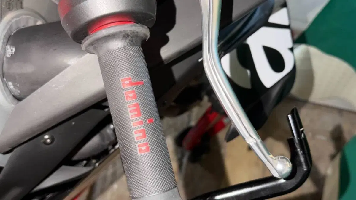 Aprilia RSV4 1100 Factory (2021 - 24)  (10)