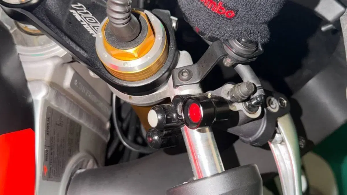 Aprilia RSV4 1100 Factory (2021 - 24)  (11)