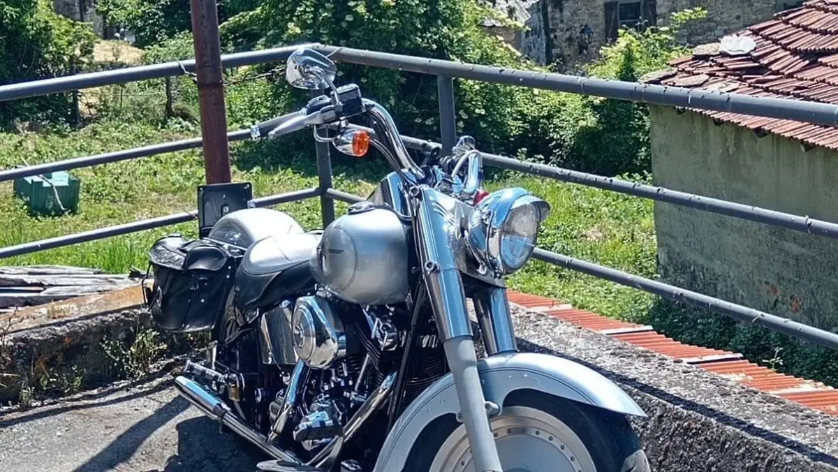 Harley-Davidson 1450 Fat Boy (1999 - 02) - FLSTF  (2)