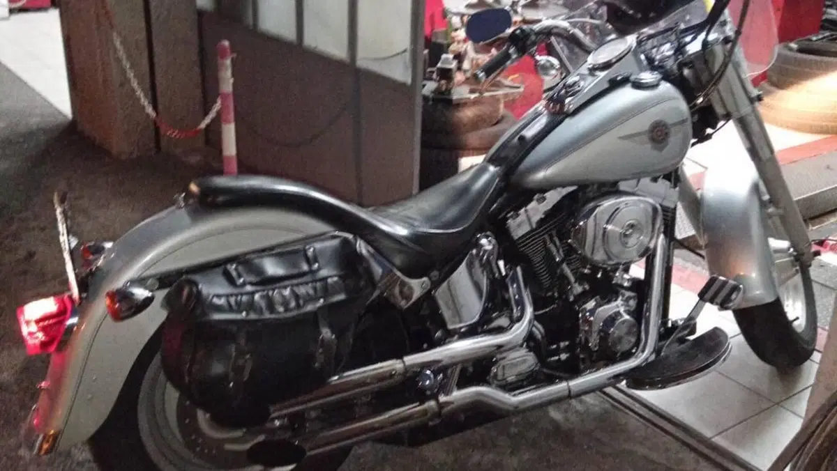 Harley-Davidson 1450 Fat Boy (1999 - 02) - FLSTF  (3)