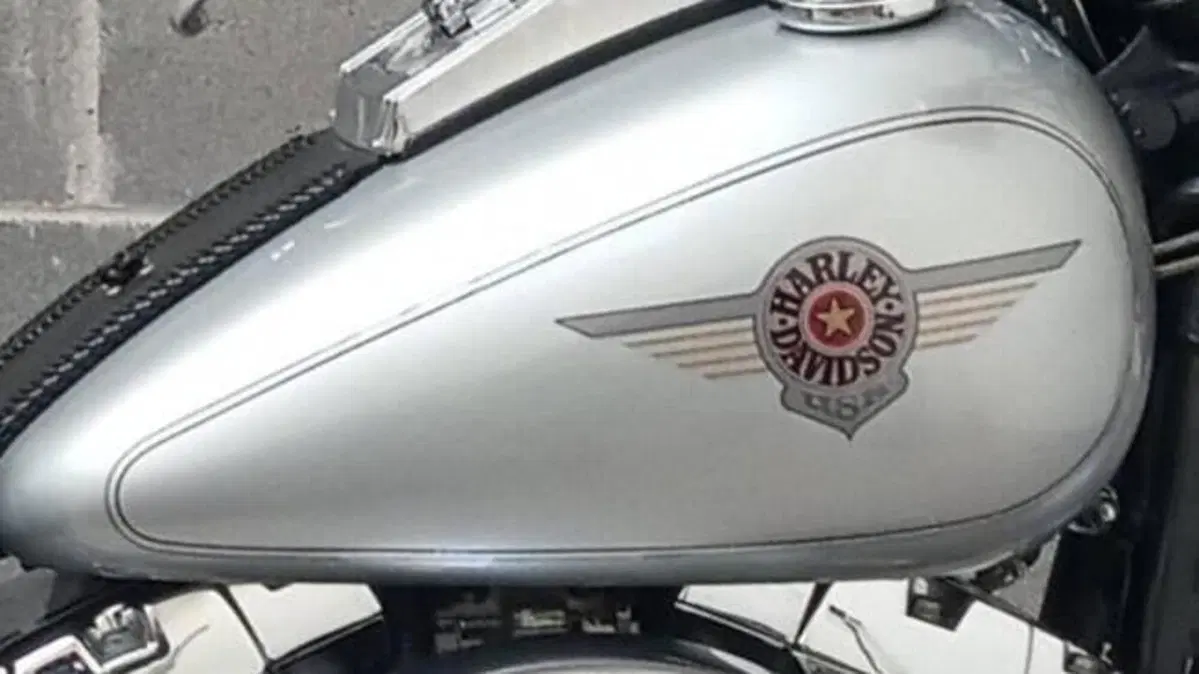 Harley-Davidson 1450 Fat Boy (1999 - 02) - FLSTF  (6)