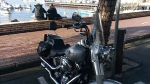 Harley-Davidson 1450 Fat Boy (1999 - 02) - FLSTF  (7)
