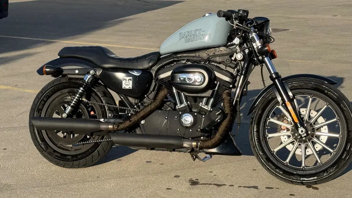 Harley-Davidson 883 Iron (2009 - 11) - XL 883N  (2)