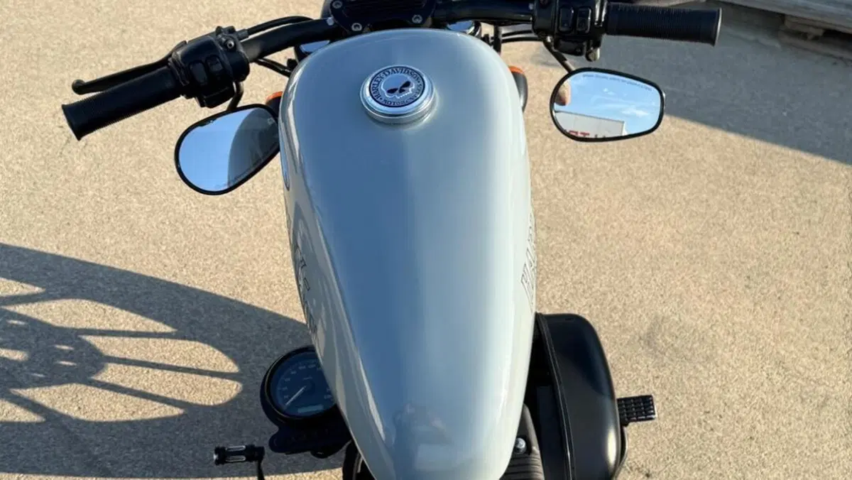 Harley-Davidson 883 Iron (2009 - 11) - XL 883N  (4)