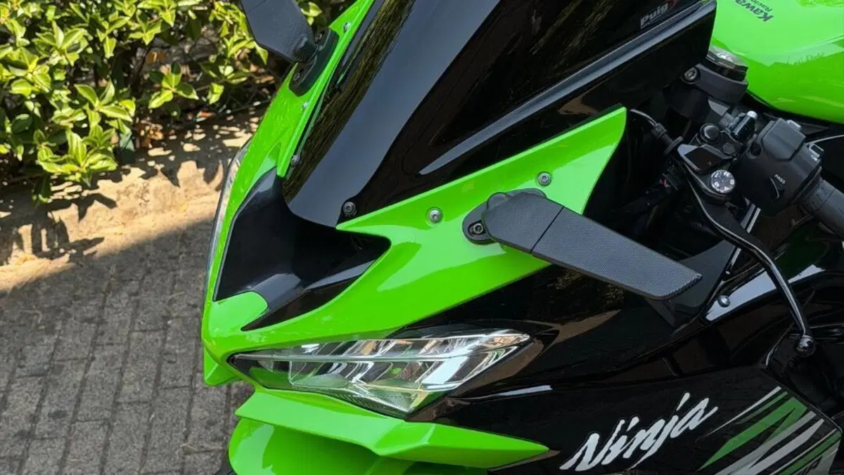 Kawasaki Ninja 636 ZX-6R (2019 - 20)  (6)
