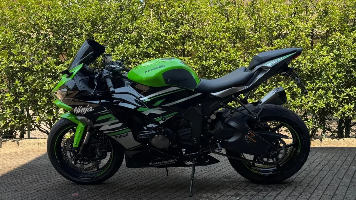 Kawasaki Ninja 636 ZX-6R (2019 - 20)  (11)