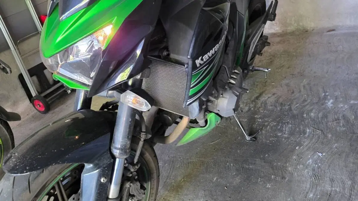 Kawasaki Z 800 (2012 - 13)  (5)
