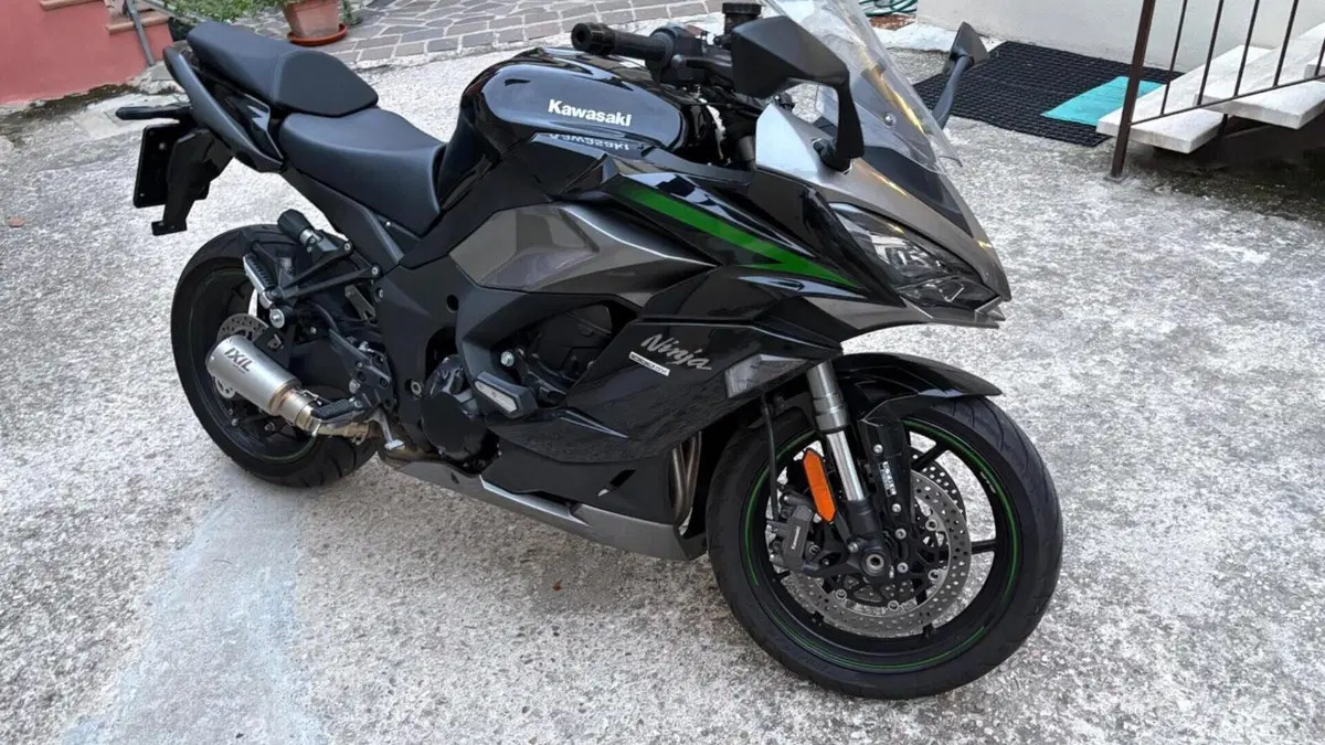 Kawasaki Ninja 1000 SX (2020)  (2)