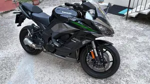 Kawasaki Ninja 1000 SX (2020)  (2)