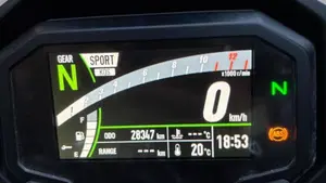 Kawasaki Ninja 1000 SX (2020)  (5)