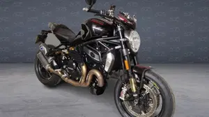 Ducati Monster 1200 R (2016 - 19)  (2)