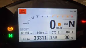 Ducati Monster 1200 R (2016 - 19)  (7)
