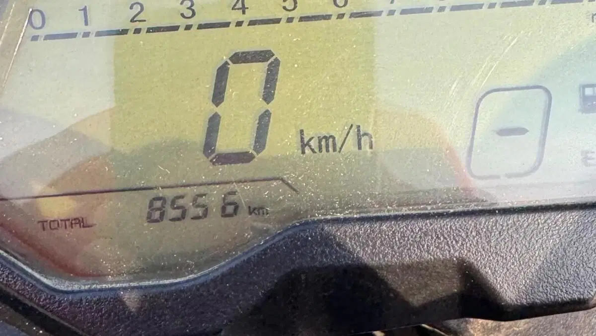 Benelli BN 125 (2021 - 25)  (4)
