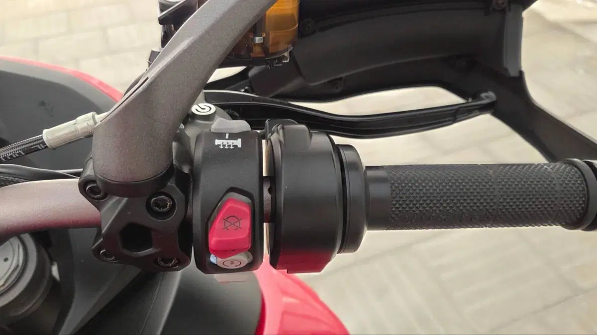 Ducati Multistrada 1260 Enduro (2019 - 21)  (3)