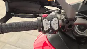 Ducati Multistrada 1260 Enduro (2019 - 21)  (4)
