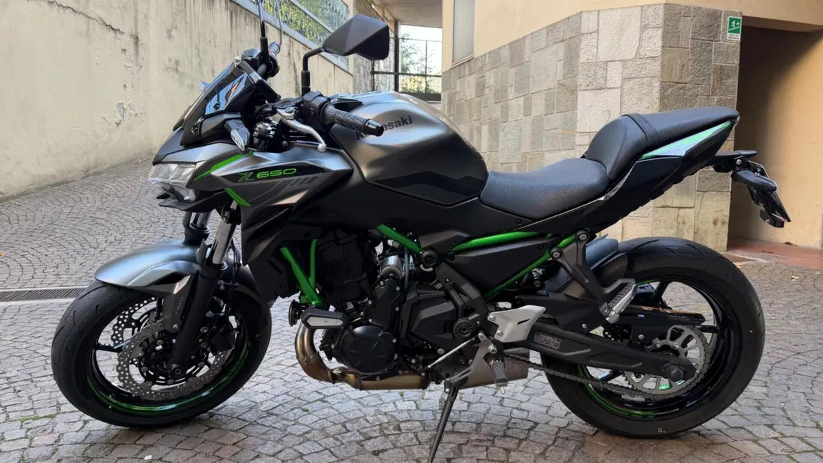 Kawasaki Z 650 Sport (2021 - 24) 