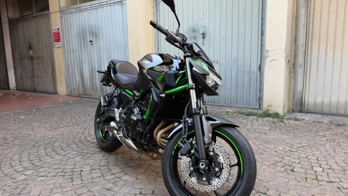 Kawasaki Z 650 Sport (2021 - 24)  (2)