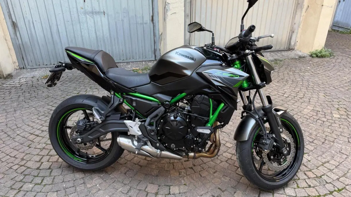 Kawasaki Z 650 Sport (2021 - 24)  (4)