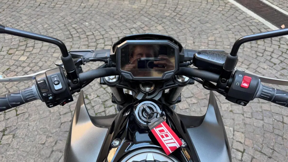 Kawasaki Z 650 Sport (2021 - 24)  (6)