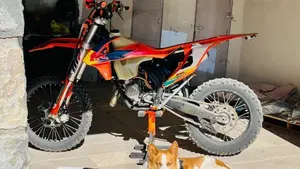KTM 125 XC-W (2018)  (5)