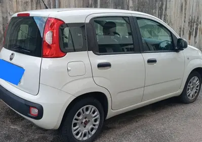 Fiat Panda 1.2 Easy usata