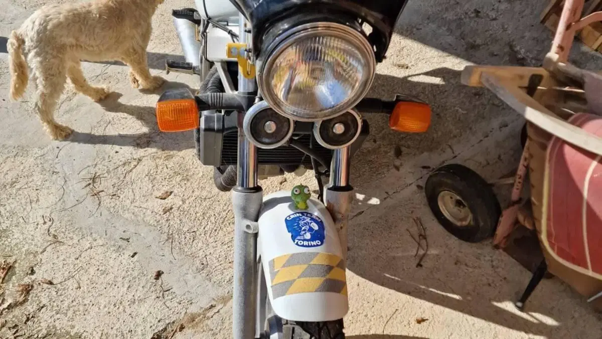 Honda NTV 650 (1988 - 01)  (6)