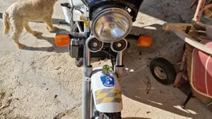 Honda NTV 650 (1988 - 01)  (6)