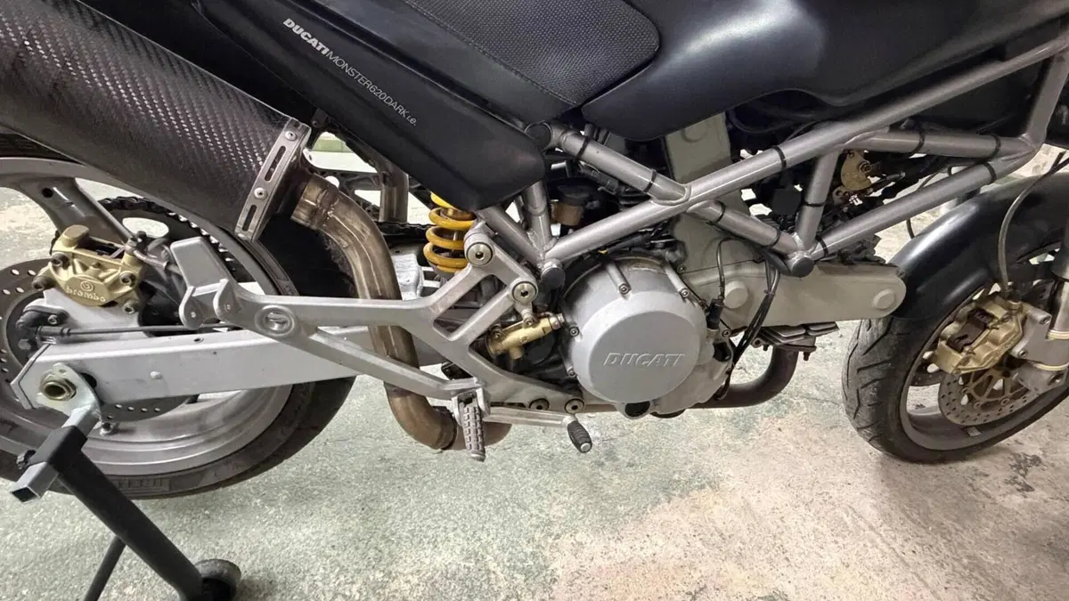 Ducati Monster 620 Dark SD (2003 - 05)  (7)
