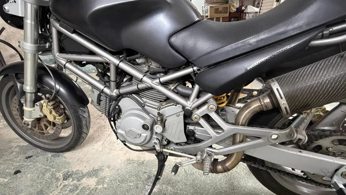Ducati Monster 620 Dark SD (2003 - 05)  (8)