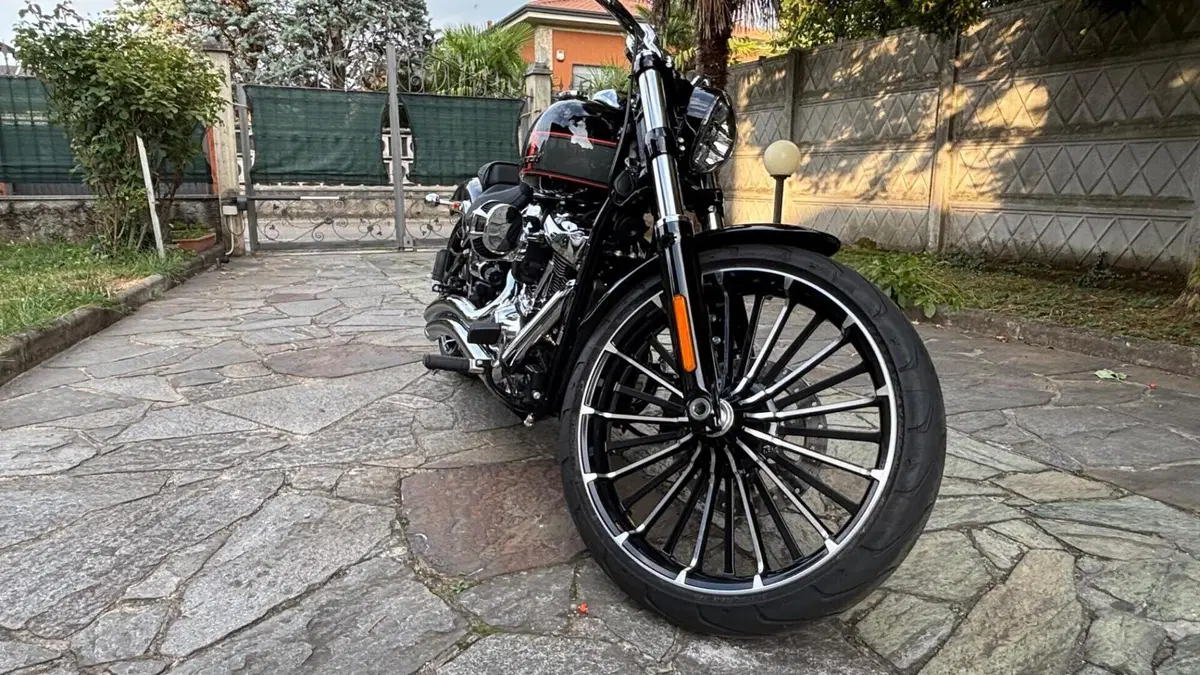 Harley-Davidson Breakout 117 (2023 - 24)  (7)