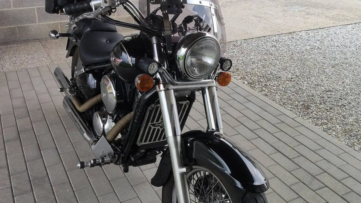 Kawasaki VN 800 Classic (2001 - 06)  (2)