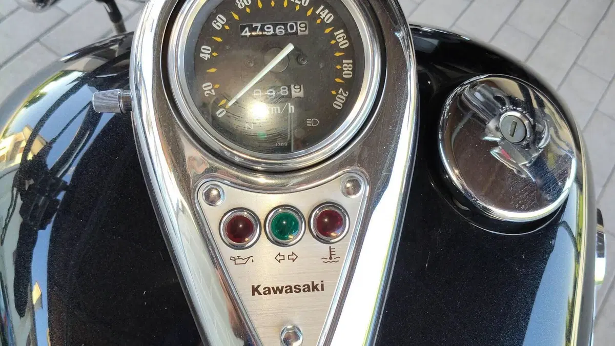 Kawasaki VN 800 Classic (2001 - 06)  (4)