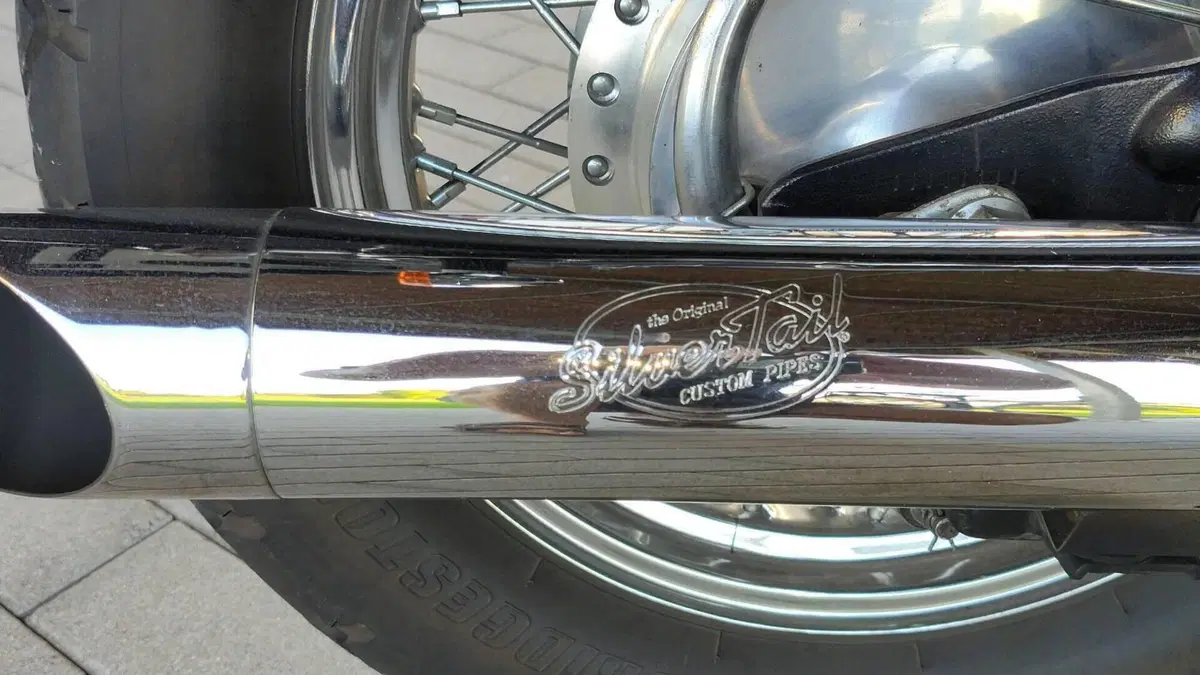 Kawasaki VN 800 Classic (2001 - 06)  (6)