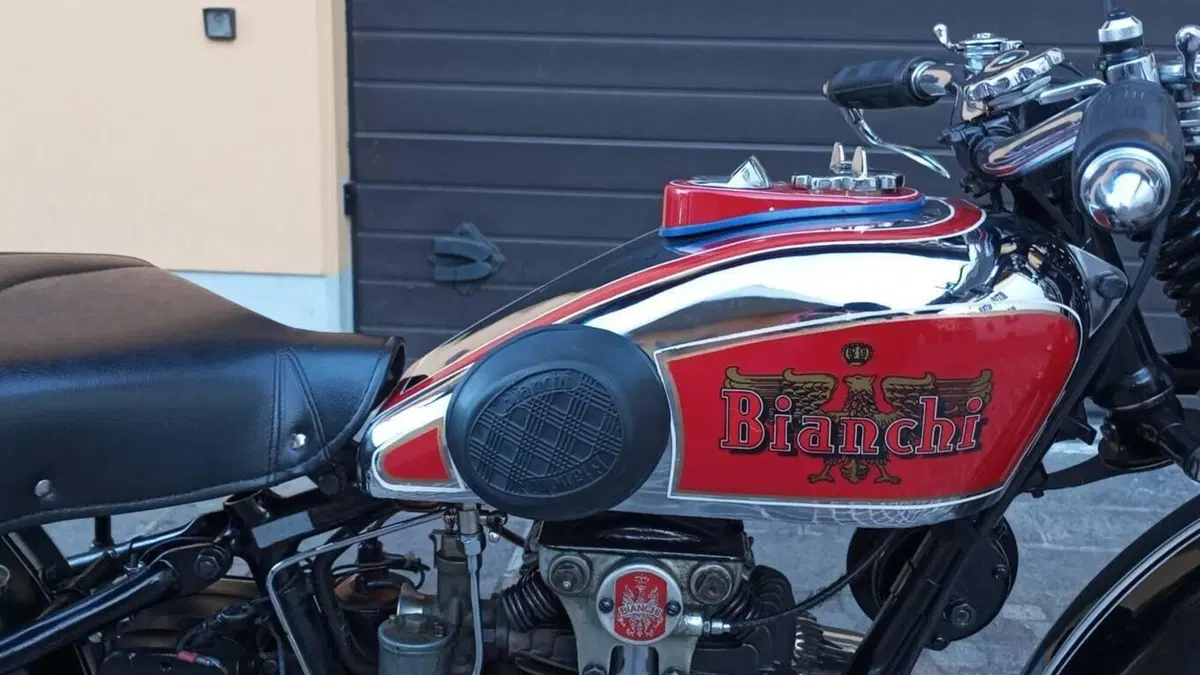 Bianchi   (14)